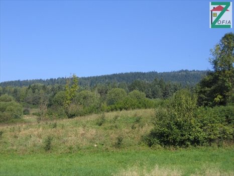 Działka rolna na sprzedaż RABKA-ZDRÓJ 20 692m2 Foto 1