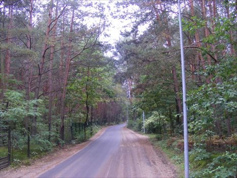 Działka budowlana na sprzedaż Łosie 3 300m2 Foto 1