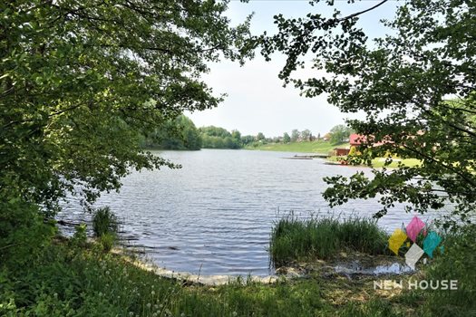 Działka siedliskowa na sprzedaż Łutynowo 3 006m2 Foto 7