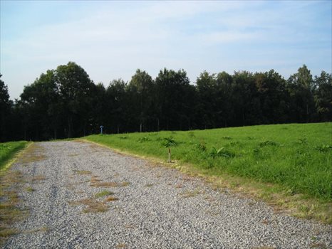 Działka inna na sprzedaż Masłomiąca 1 500m2 Foto 6