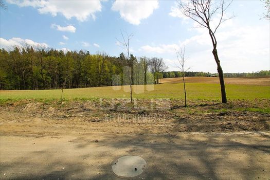 Działka inna na sprzedaż Rokocin, Jezioro, Las, Peplińskiego 13 729m2 Foto 12