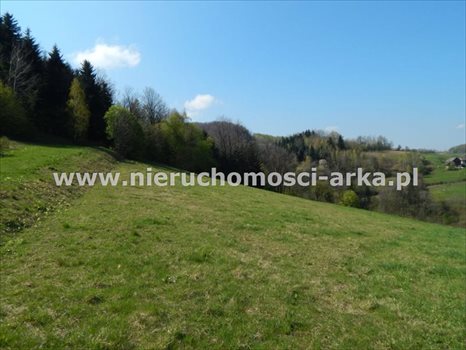 Działka budowlana na sprzedaż Dobra 4 600m2 Foto 2