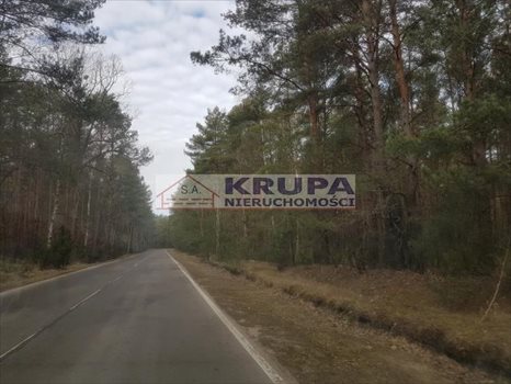 Działka inwestycyjna na sprzedaż Borki 98 000m2 Foto 6