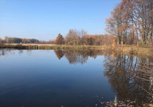 Działka budowlana na sprzedaż Grodzisk Mazowiecki, Słowackiego 3 009m2 Foto 5