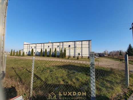 Lokal użytkowy na sprzedaż Mińsk Mazowiecki 1 700m2 Foto 10