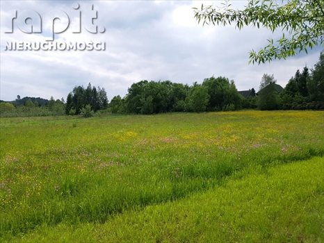 Działka budowlana na sprzedaż Zasań 4 002m2 Foto 4