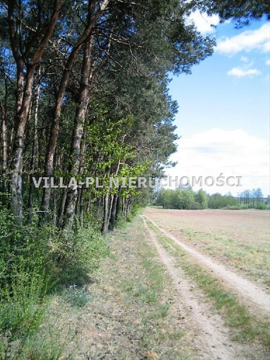 Działka budowlana na sprzedaż Łęczyca 44 780m2 Foto 3