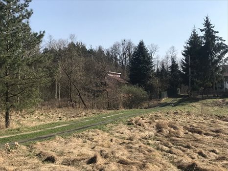 Działka siedliskowa na sprzedaż Stanisławów, Stanisławów 57 4 800m2 Foto 2