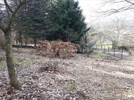 Działka budowlana na sprzedaż Kraków, Krowodrza, Wola Justowska, Orla 5 766m2 Foto 2