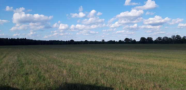 Działka rolna pod dzierżawę Ostrowąsy, pole 650 000m2 Foto 3