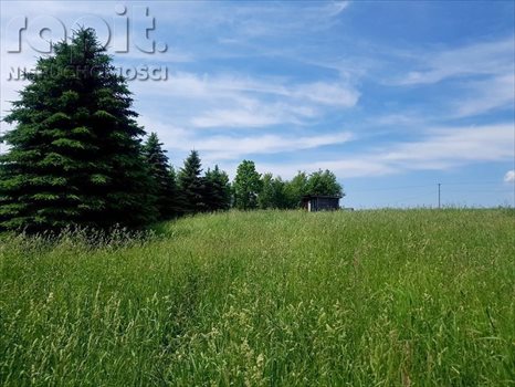 Działka budowlana na sprzedaż Krzyszkowice 740m2 Foto 6
