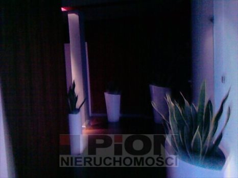 Lokal użytkowy na wynajem Poznań, Grunwald, Ulica tranzytowa 20m2 Foto 3