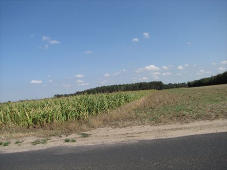Działka budowlana na sprzedaż Marydół, Trasa Marydół - Siedlików 8 183m2 Foto 4