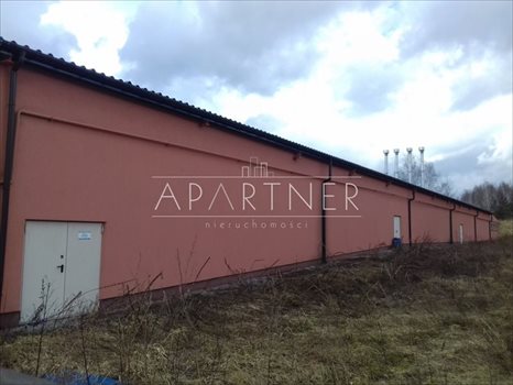 Lokal użytkowy na wynajem Łódź, Widzew 3 100m2 Foto 5