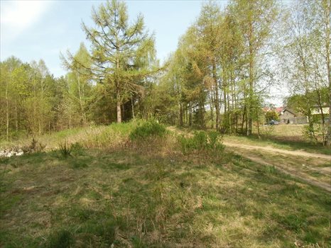 Działka budowlana na sprzedaż Gdynia, Dąbrowa, Leśna Polana 686m2 Foto 4