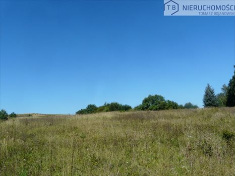 Działka budowlana na sprzedaż Potrzanowo 25 642m2 Foto 6