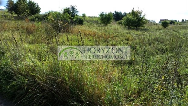 Działka budowlana na sprzedaż Bielkówko 6 000m2 Foto 2