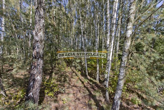 Działka budowlana na sprzedaż Płatków 3 900m2 Foto 12