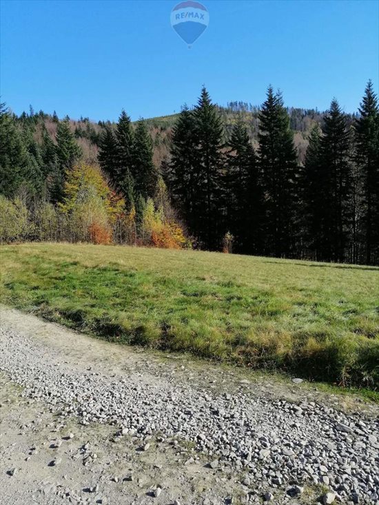 Działka budowlana na sprzedaż Jeleśnia 42 000m2 Foto 3