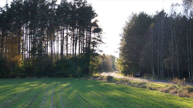 Działka budowlana na sprzedaż Bory Tucholskie, Nad Rzeką, Duże Krówno 47 4 973m2 Foto 7