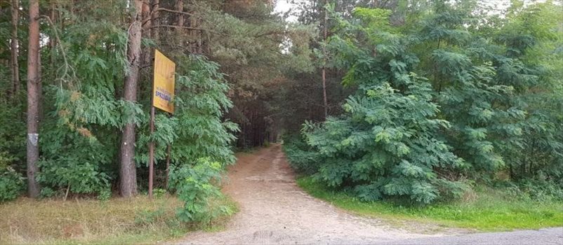 Działka rekreacyjna na sprzedaż Ojrzanów, Tarczyńska 1 000m2 Foto 8