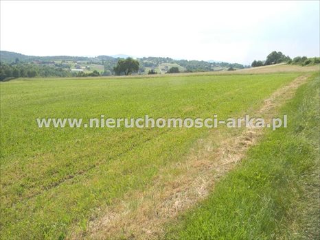 Działka rolna na sprzedaż Stare Rybie 10 800m2 Foto 3