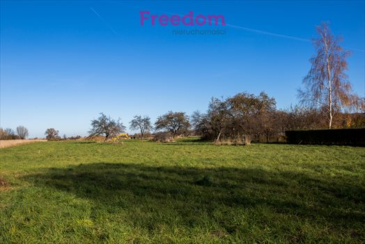 Działka budowlana na sprzedaż Rzeszów, Budziwój, Herbowa 18 500m2 Foto 5