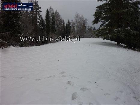 Działka rekreacyjna na sprzedaż Międzybrodzie Żywieckie 3 600m2 Foto 4