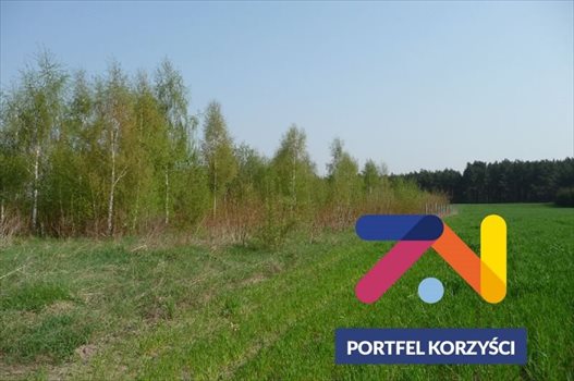 Działka budowlana na sprzedaż Lubogoszcz 750m2 Foto 4