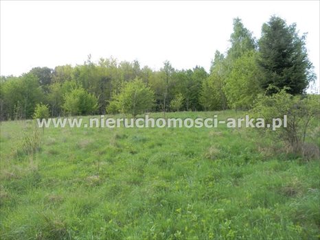 Działka budowlana na sprzedaż Limanowa 5 500m2 Foto 4