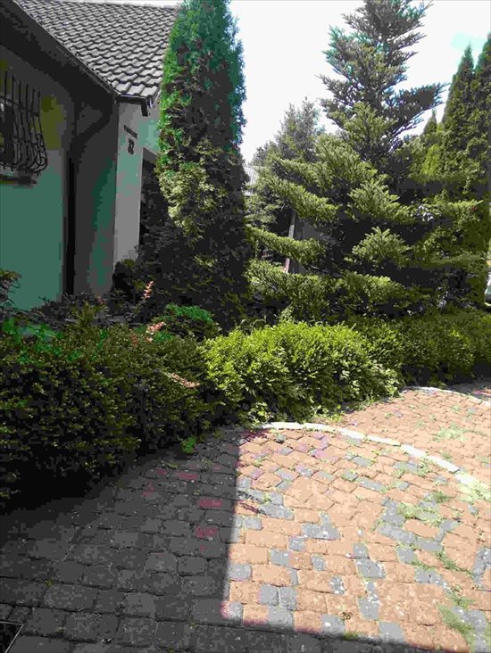 Dom na sprzedaż Osiek, osiek 247m2 Foto 11