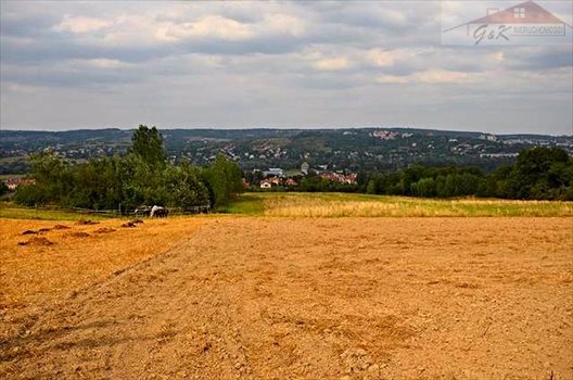 Działka rekreacyjna na sprzedaż Prałkowce 3 500m2 Foto 5
