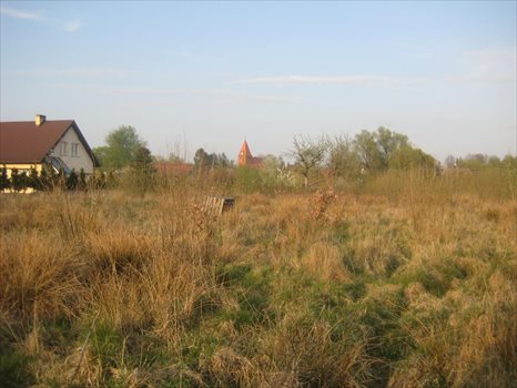 Działka rolna na sprzedaż Bierkowo, Leśna 3 241m2 Foto 13