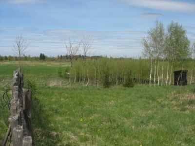 Działka rolna na sprzedaż Brajniki, Brajniki 3 000m2 Foto 4
