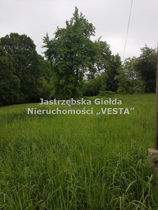 Działka inna na sprzedaż Jastrzębie-Zdrój 1 410m2 Foto 4