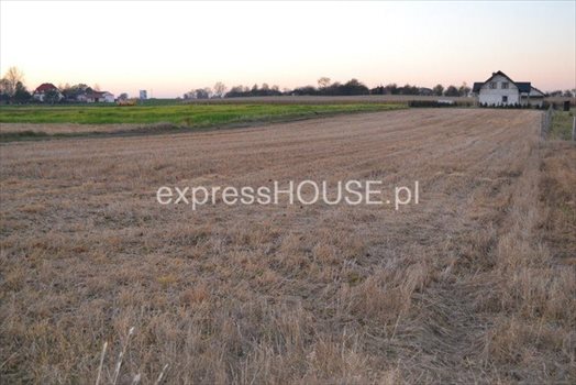 Działka budowlana na sprzedaż Zofiówka 4 000m2 Foto 2