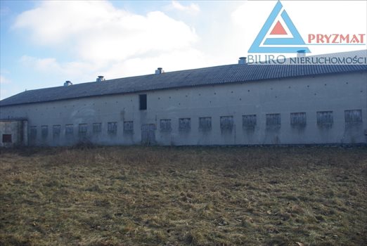 Lokal użytkowy na wynajem Dągi 800m2 Foto 6