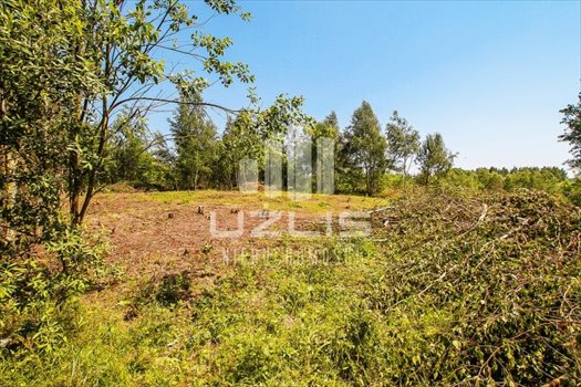 Działka inna na sprzedaż Starogard Gdański, Las, Ulica osiedlowa, Niemojewskiego 853m2 Foto 8