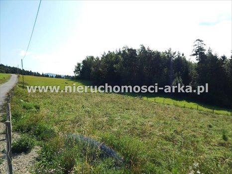 Działka budowlana na sprzedaż Mszana Dolna 1 300m2 Foto 2
