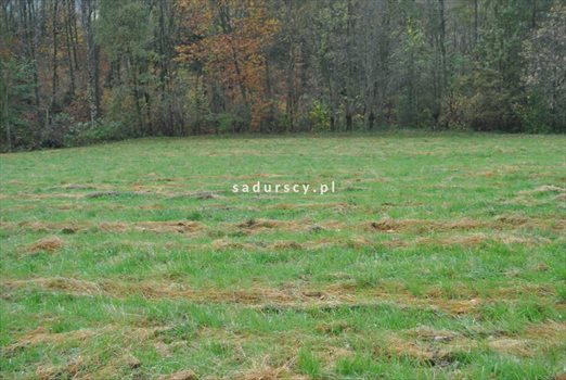 Działka budowlana na sprzedaż Siercza 4 700m2 Foto 3