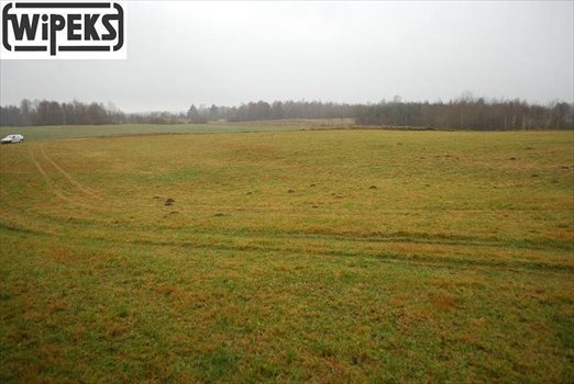 Działka inna na sprzedaż Rokity 27 000m2 Foto 3