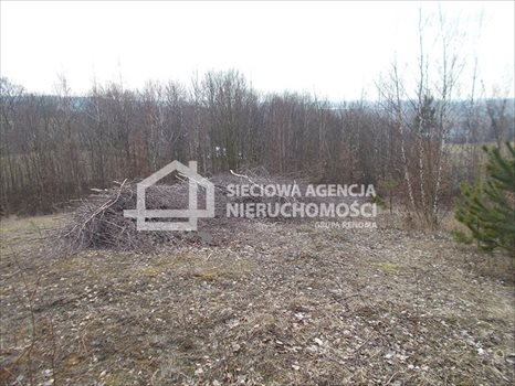 Działka budowlana na sprzedaż Łapalice 2 209m2 Foto 6