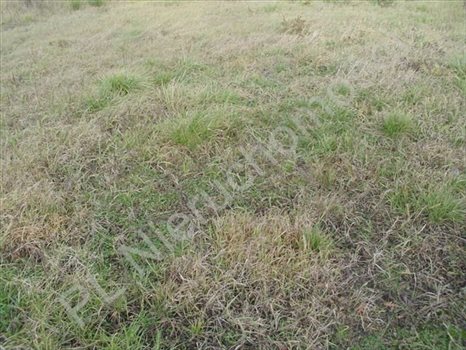 Działka budowlana na sprzedaż Książenice 1 531m2 Foto 2