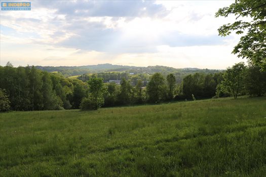 Działka budowlana na sprzedaż Mogilany 2 400m2 Foto 3