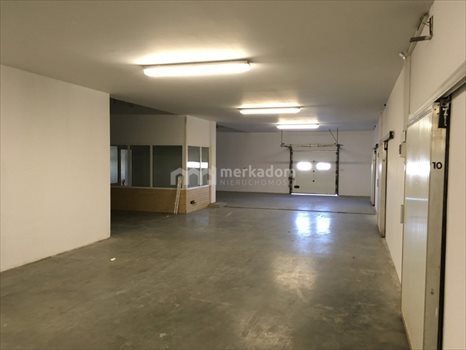 Lokal użytkowy na sprzedaż Tarnowo Podgórne 4 000m2 Foto 9