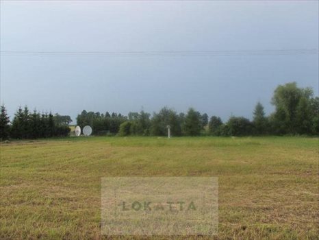 Działka rolna na sprzedaż Nowe Wrońska, Płońsk - Załuski 3 800m2 Foto 3