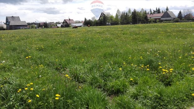 Działka budowlana na sprzedaż Ludźmierz 1 000m2 Foto 4