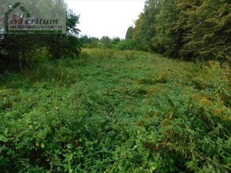 Działka budowlana na sprzedaż Nowy Sącz 802m2 Foto 1