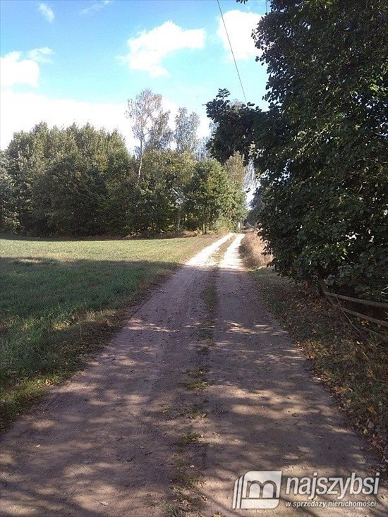 Działka siedliskowa na sprzedaż Kolincz, obrzeża 4 900m2 Foto 7