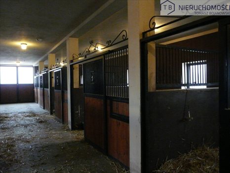 Działka inna na sprzedaż Szamotuły 15 890m2 Foto 11